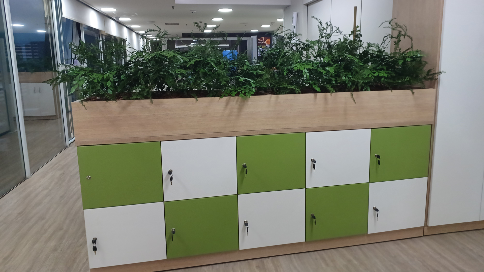 Design sem nome (27)