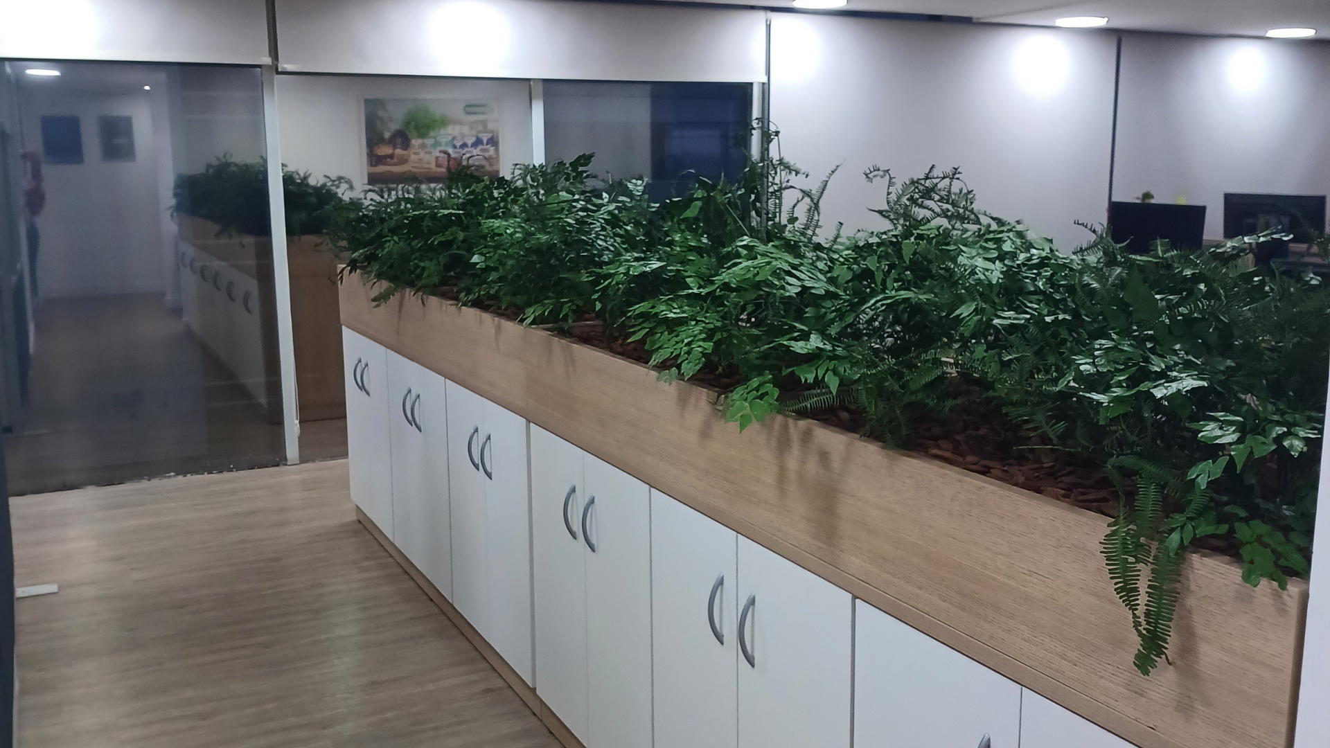 Design sem nome (28)